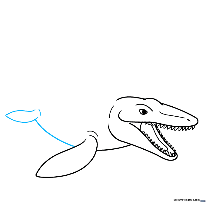Adding the belly line and the smaller rear flipper to the body.