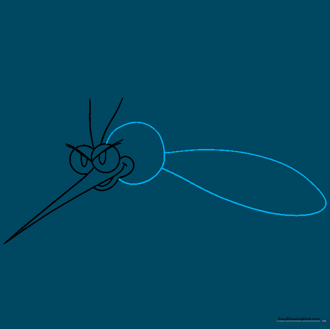 The main body segments of the mosquito including the thorax and elongated abdomen.