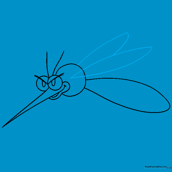 Two large, delicate wings attached to the mosquito's thorax.