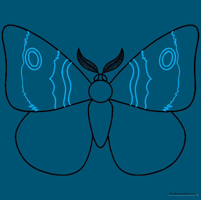 Adding decorative wavy lines and circular eyespot patterns to the moth's upper wings.