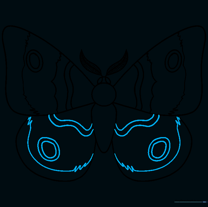 Adding detailed jagged lines and eyespots to the lower hindwings.