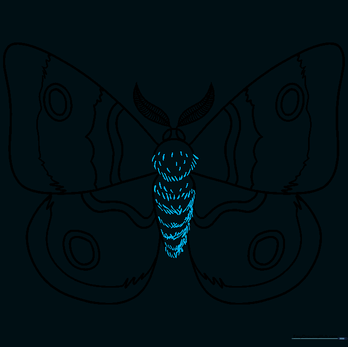 Adding short, fuzzy texture lines to the outline of the moth's body.