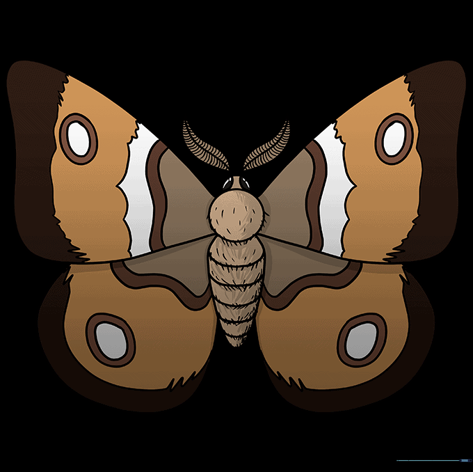 The final colored moth drawing featuring cream, brown, and red tones.