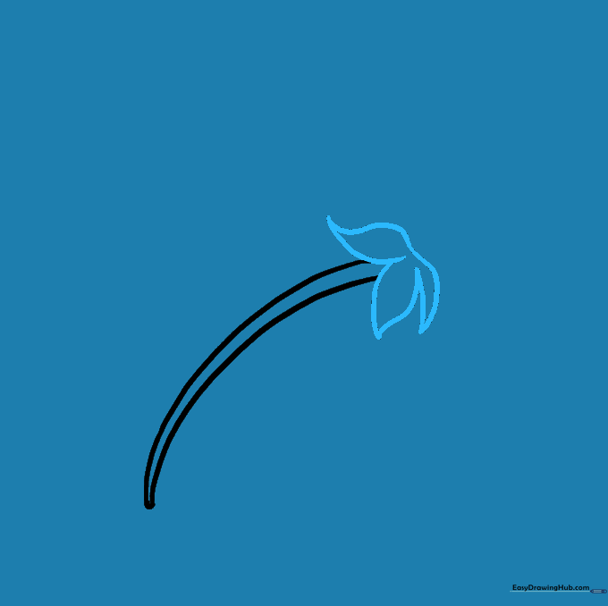 Drawing the pointed green sepals at the base of the flower head.