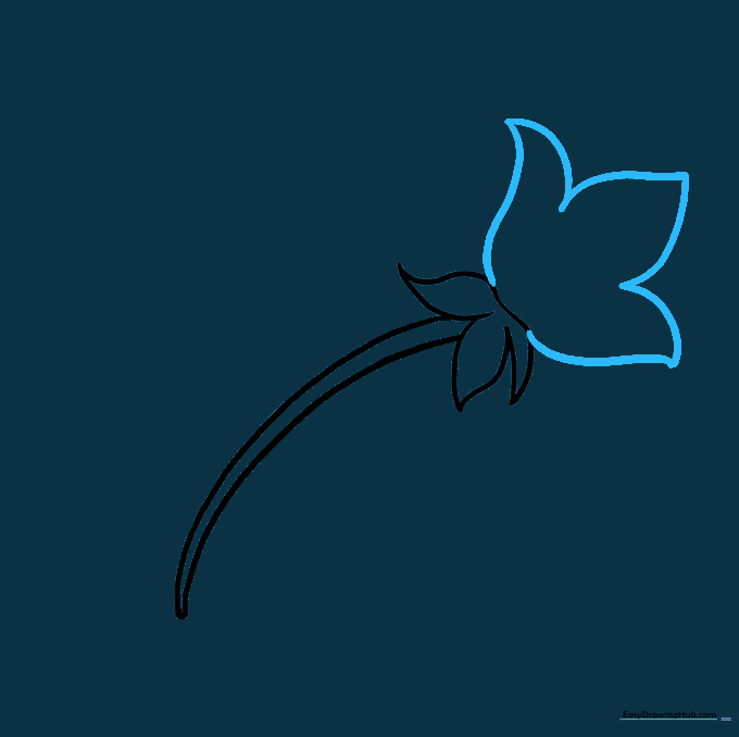 Adding large, rounded petals extending from the base of the flower.