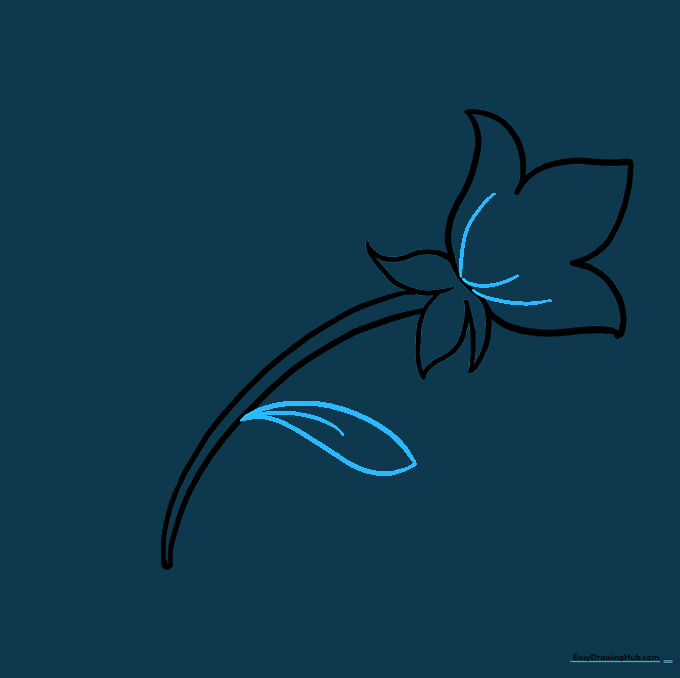 Drawing a single leaf with a central vein attached to the flower stem.
