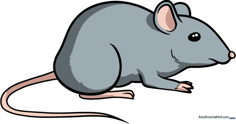 A friendly, finished cartoon mouse drawing ready for coloring.