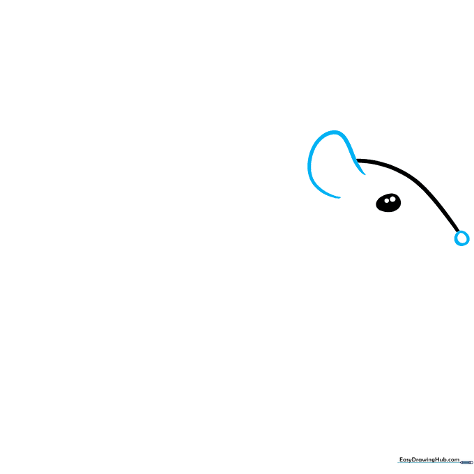 Drawing the mouse's large ear and small round nose.