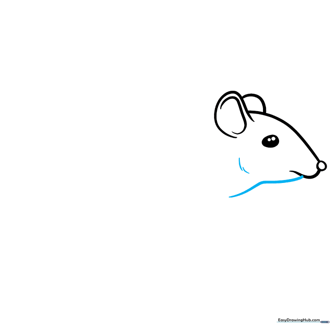 Outlining the mouse's neck and jawline with smooth curves.