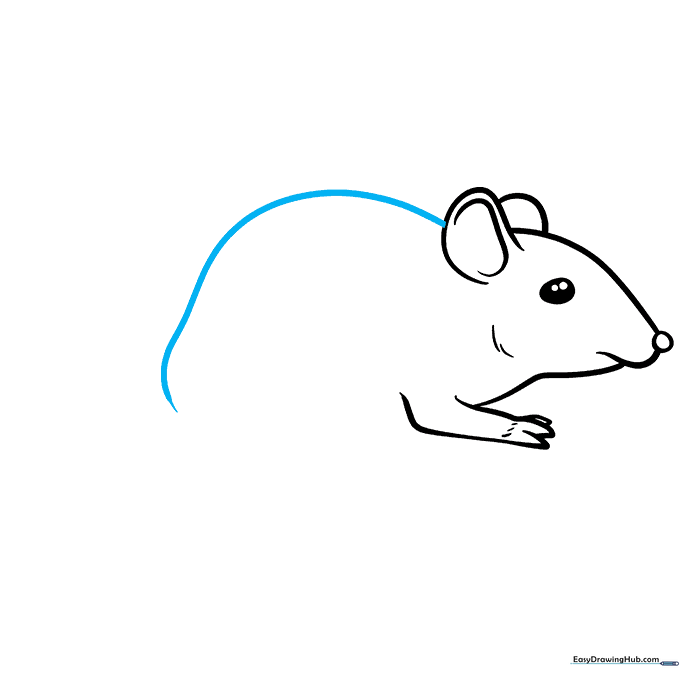 A long curved line forming the mouse's back profile.