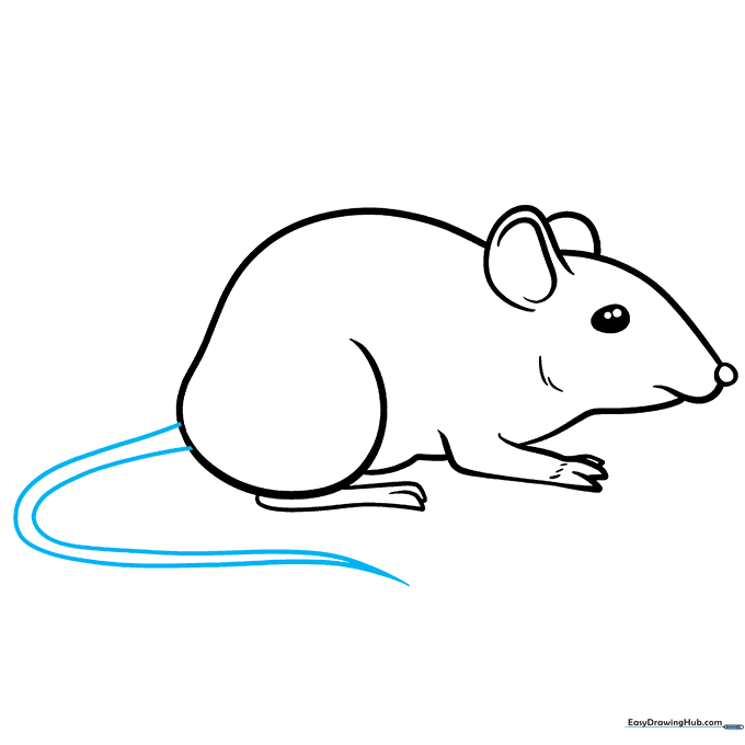 Adding a long, tapering tail to the mouse drawing.