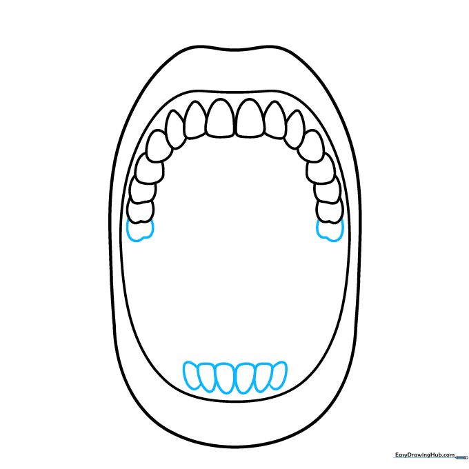 Sketching the lower teeth as small ovals and adding larger molar shapes to the top row.