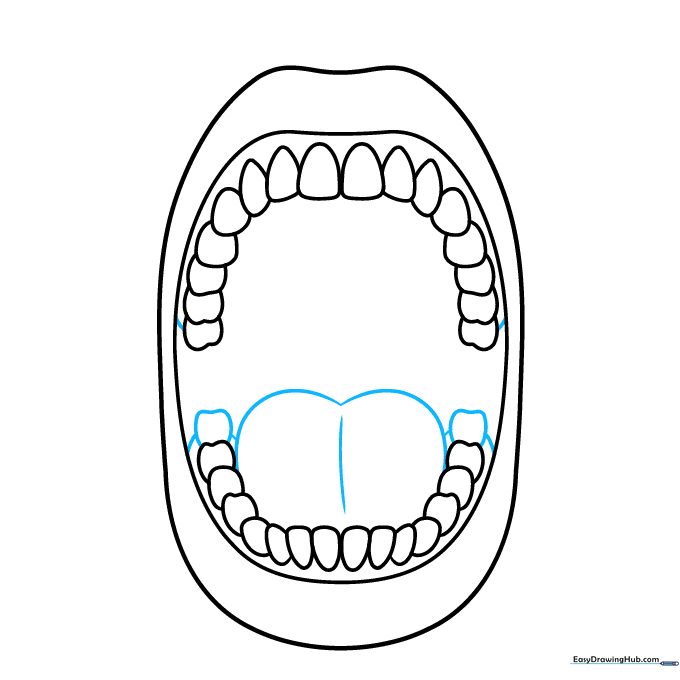 Drawing the tongue as a heart-like shape and adding small lines for gum detail.
