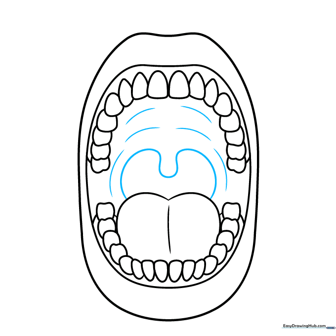 Adding the throat, uvula, and soft palate lines to the back of the mouth.