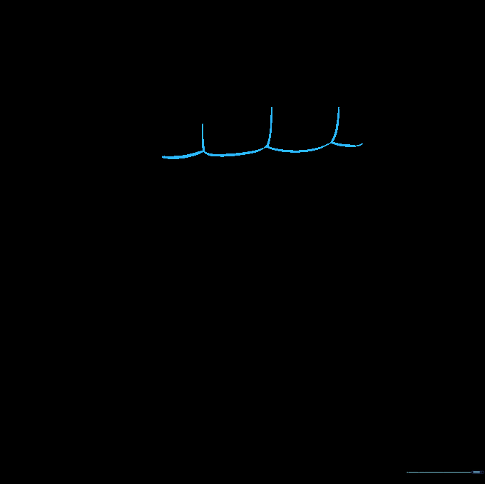 Adding rounded rectangular shapes to represent teeth.
