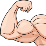 A finished, colored illustration of a strong, muscular arm in a dynamic pose.