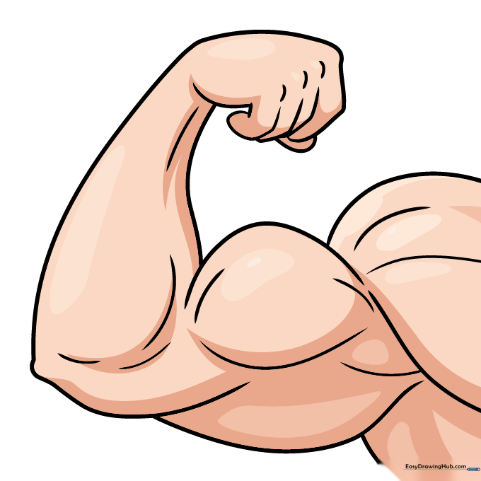 Colored muscular arm showing shading and highlights for a 3D effect.