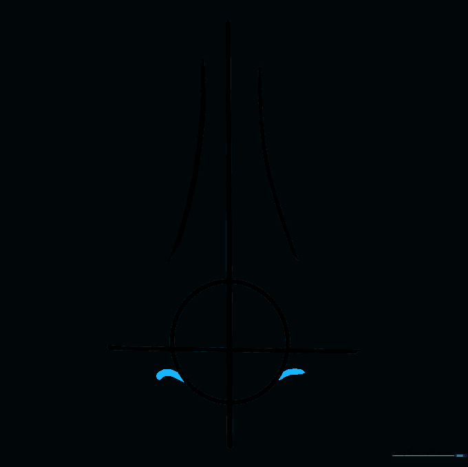 Two small curved lines at the base of the circle indicating the start of nostrils.