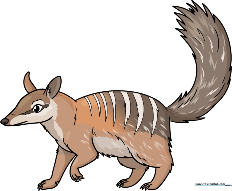 A colorful, finished cartoon numbat, showcasing the final result of the drawing tutorial.