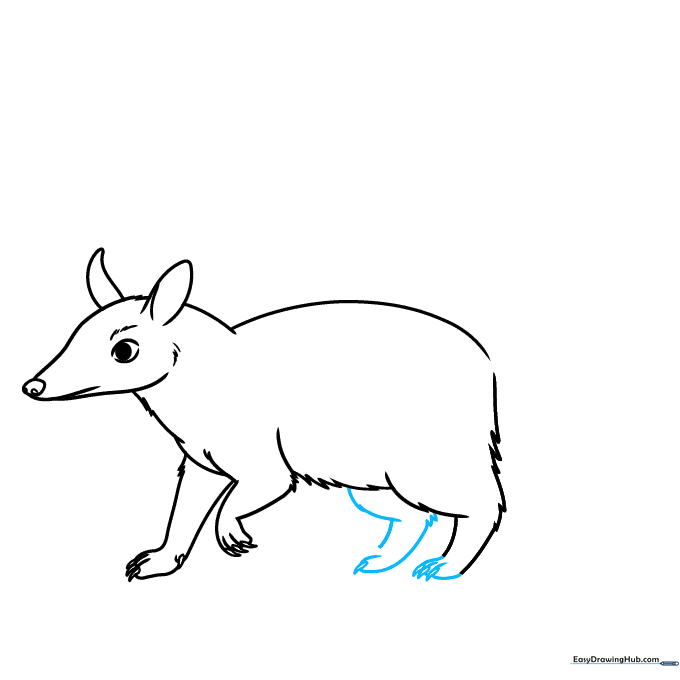 Drawing the numbat's rear legs with consistent fur texture.
