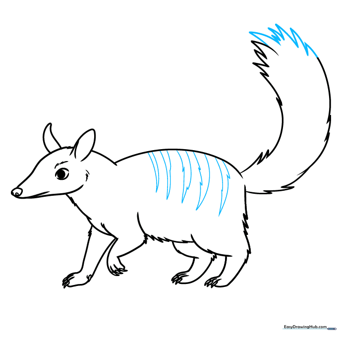 Adding the distinctive stripes to the numbat's back.