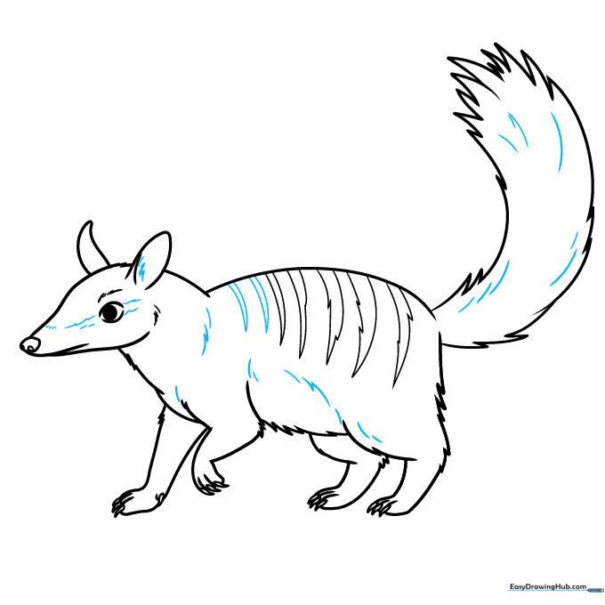 Adding final fur texture details to the completed numbat outline.