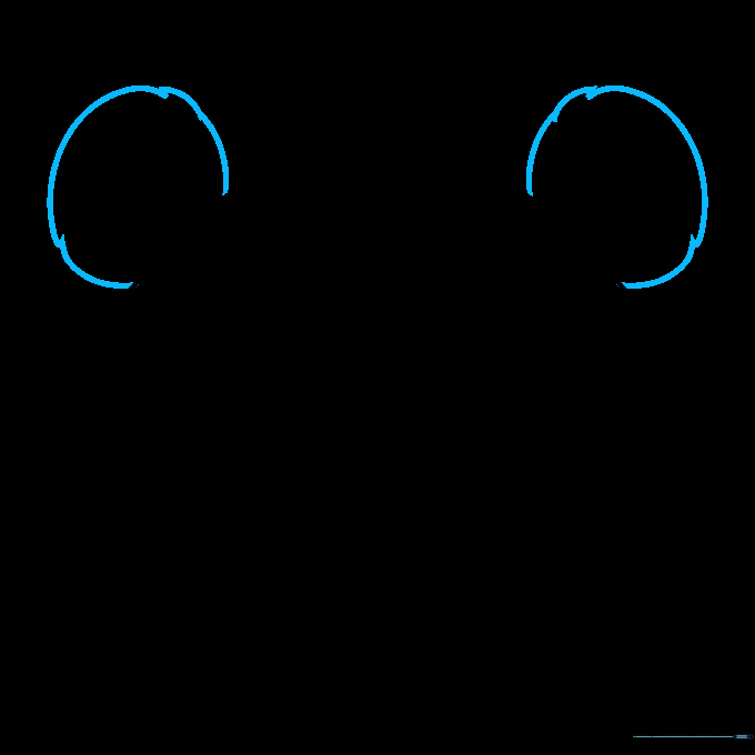Two rounded, furry panda ears positioned on top of the head