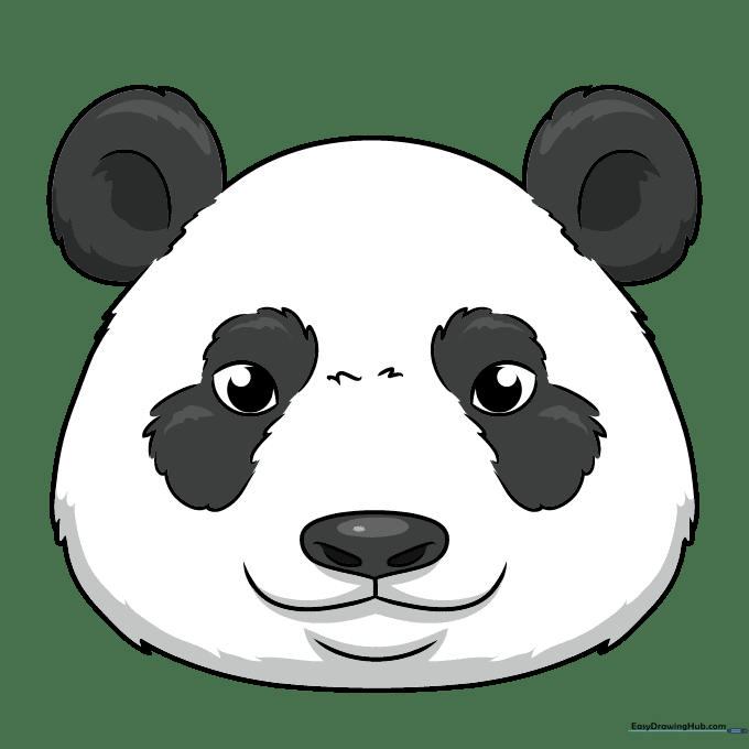 Finished, colored panda face illustration with black ears, eye patches, and nose