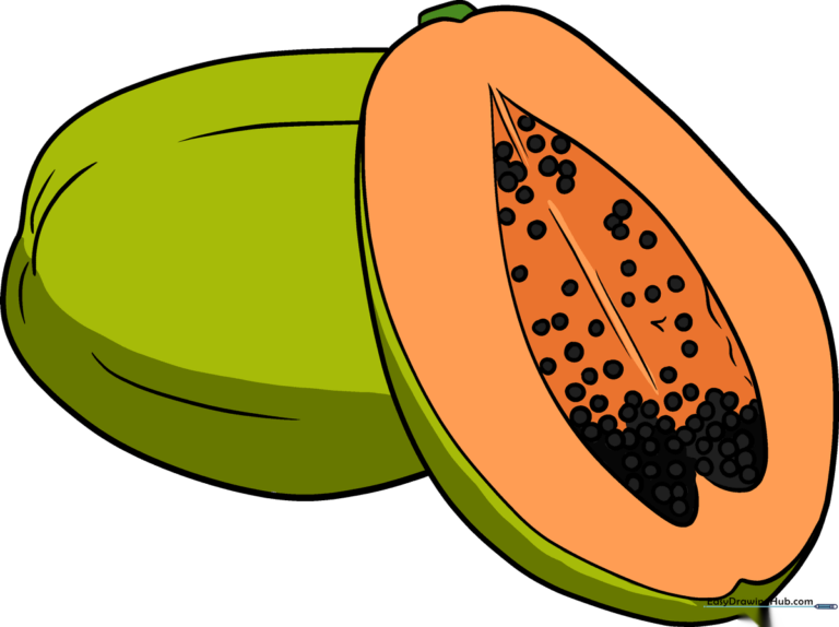 A colorful, finished drawing of a papaya, perfect for art students.