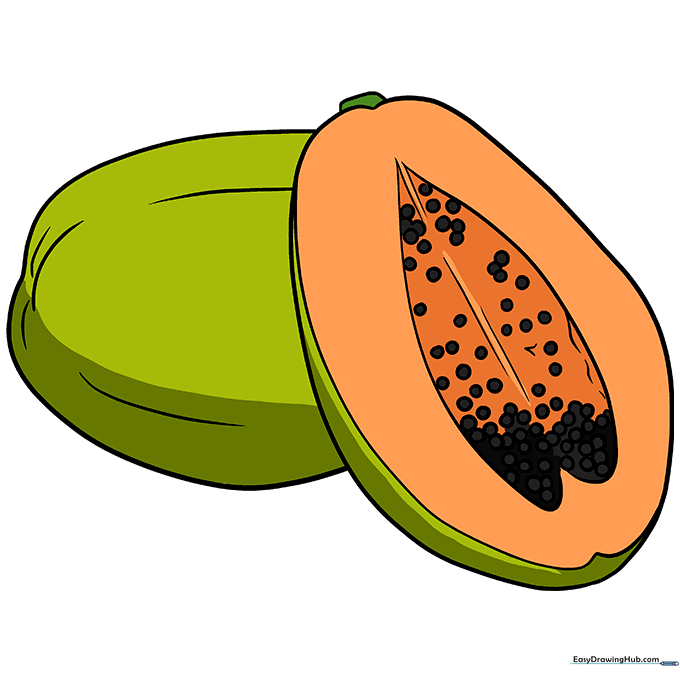 A fully colored, vibrant illustration of a sliced papaya with black seeds.