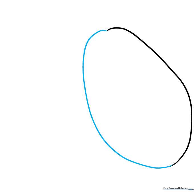The completed outline of a papaya fruit showing a smooth, rounded teardrop shape.