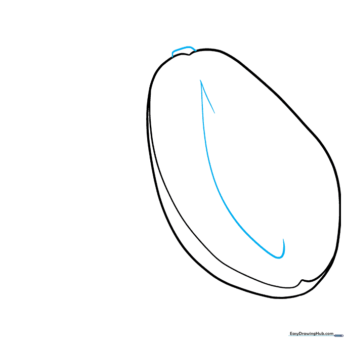 The papaya outline now includes a central seed cavity and a small stem at the top.