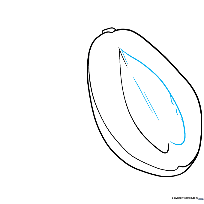 Detailed lines added inside the seed cavity to show texture and depth.