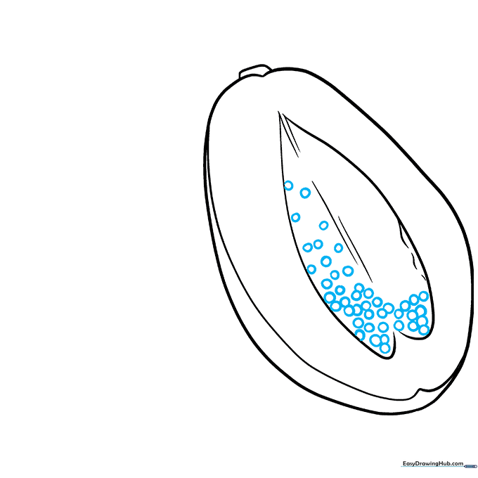 Small circles representing seeds drawn inside the central cavity of the papaya.