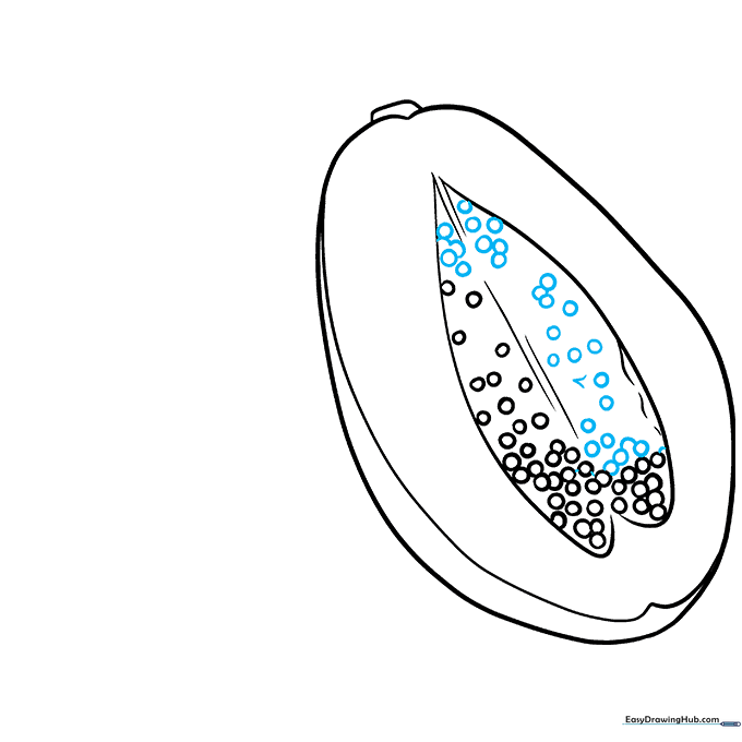 The seed cavity is now filled with many small, scattered circles.
