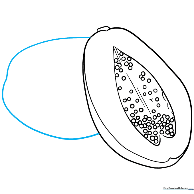 A second, partial papaya shape drawn behind the first to create depth.
