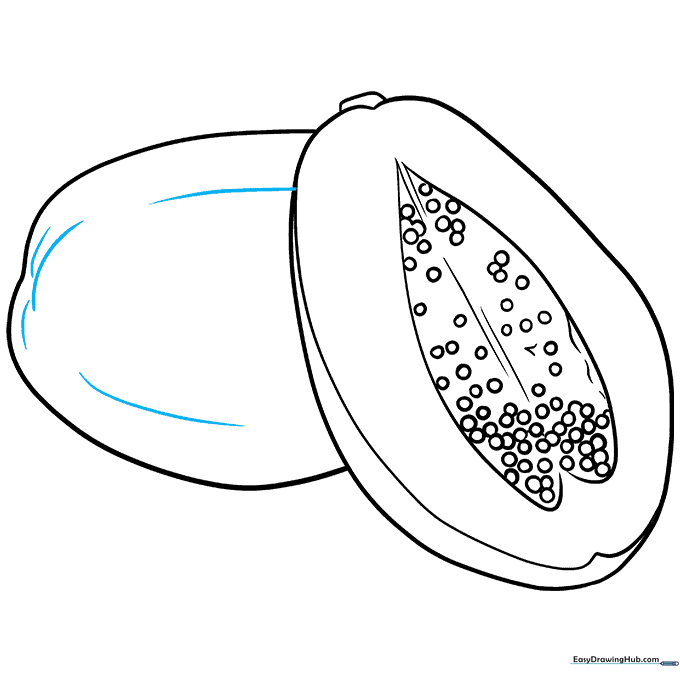 The final line art of the papaya with added skin texture lines.