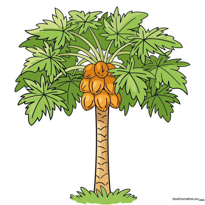 A fully colored, vibrant cartoon papaya tree.