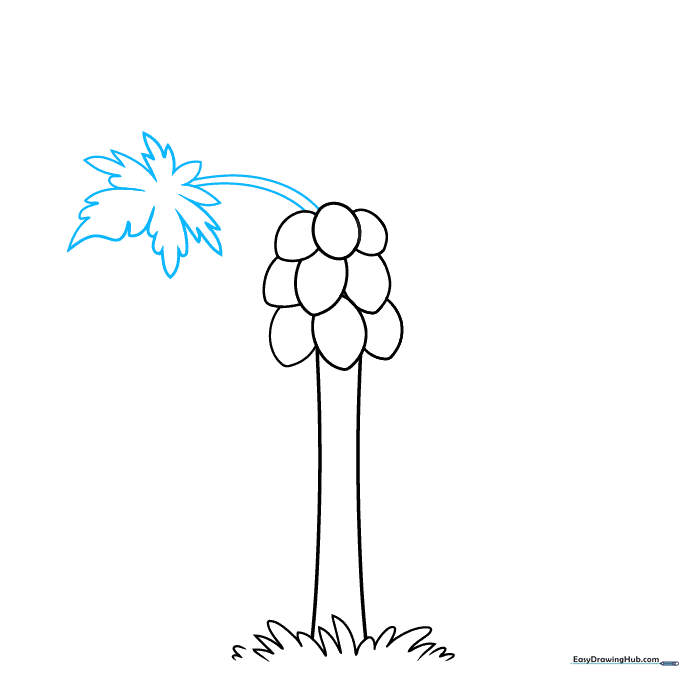 Drawing the grassy base and vertical trunk lines for a papaya tree.