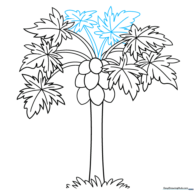 Adding additional leaves to the sides of the papaya tree.