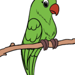 A vibrant, finished parrot drawing used as the featured tutorial image.