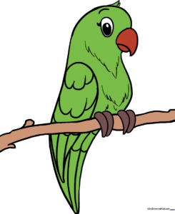 A vibrant, finished parrot drawing used as the featured tutorial image.