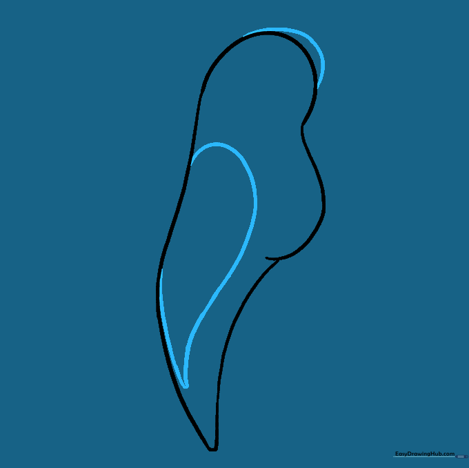 Sketch showing the refined head shape and a large teardrop-shaped wing on the parrot's back.