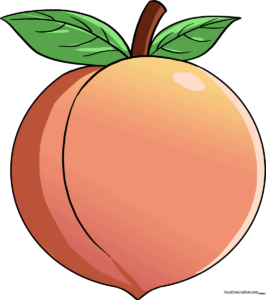 A finished, colorful drawing of a ripe peach with leaves, presented as a final example.