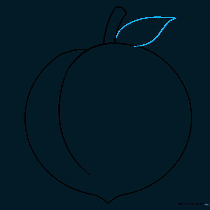 Drawing a simple leaf shape attached to the peach stem.