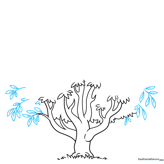 Detailed sketch of individual leaves with central veins attached to branches.