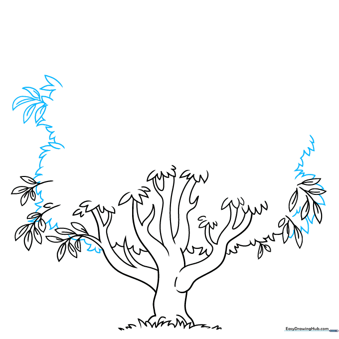 Sketch showing the expansion of the tree canopy using jagged lines.