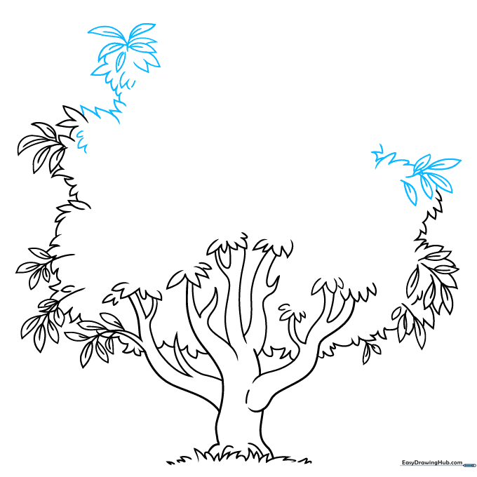 Sketch showing additional leaf clusters added to the tree canopy.