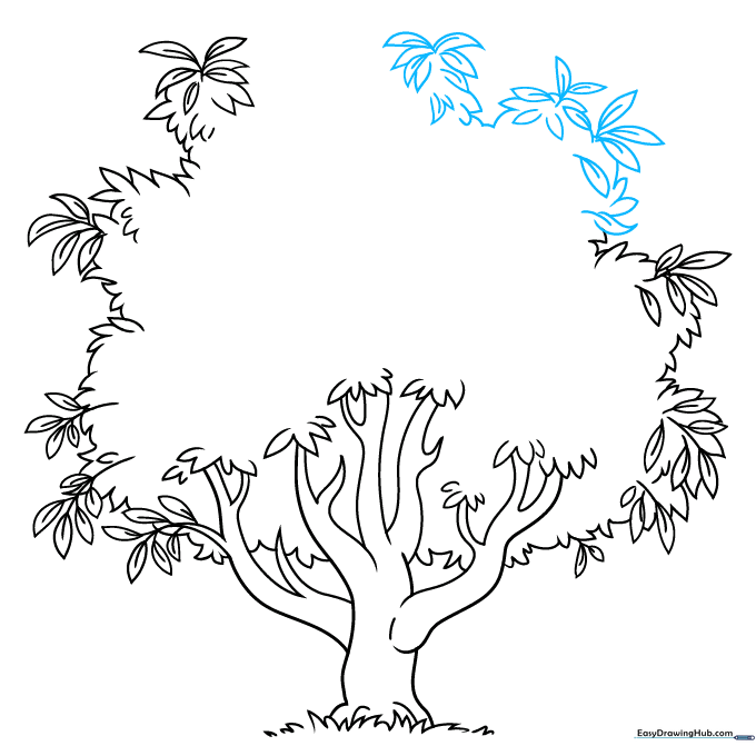 Sketch showing refined leaf details and canopy texture.