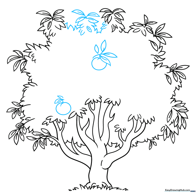 Sketch showing the addition of round peach fruits tucked into the foliage.